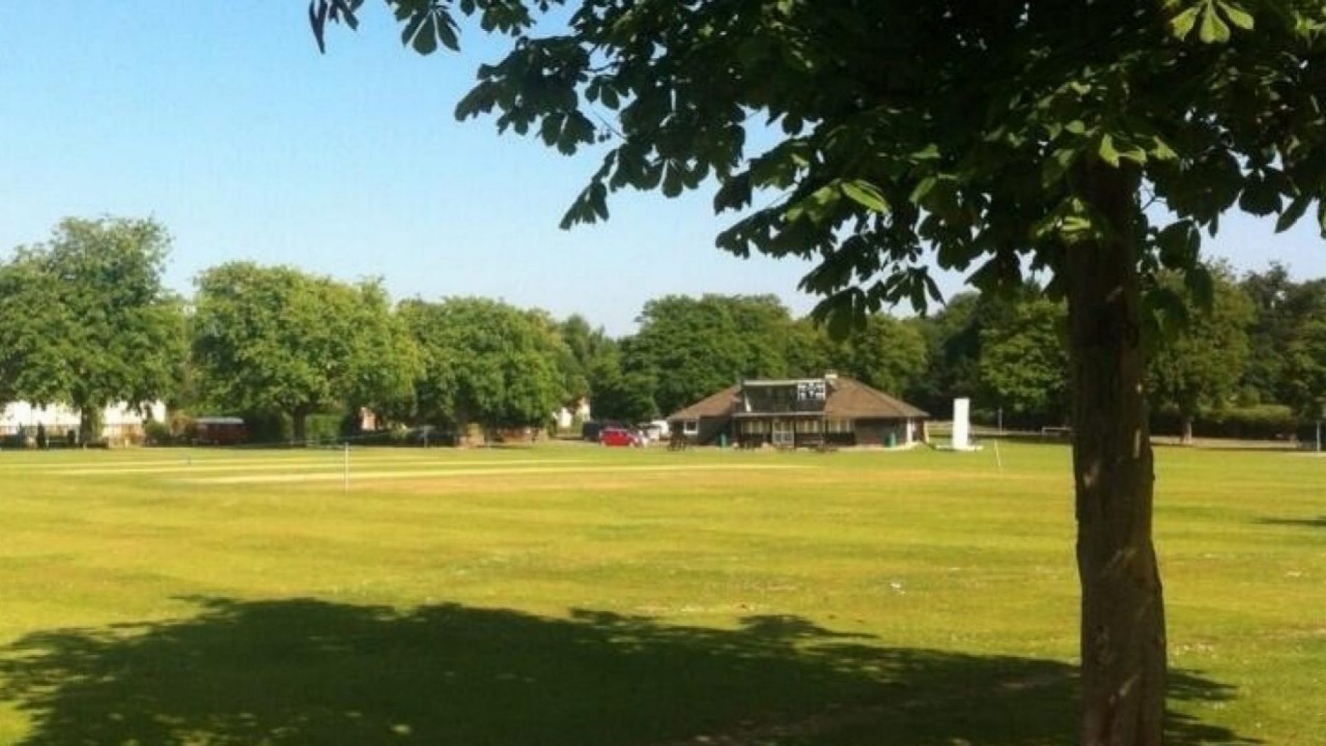 Wisborough Green Cricket Club